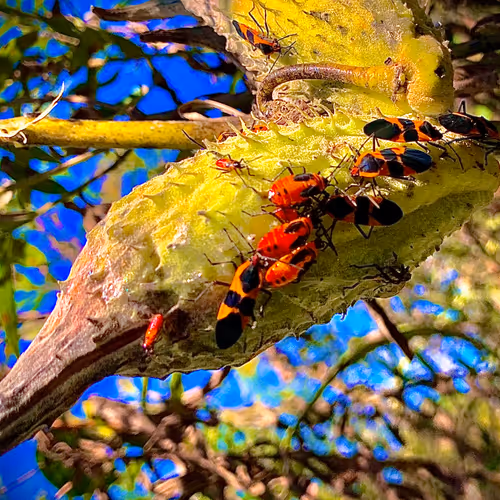 Untitled Collection #12903237