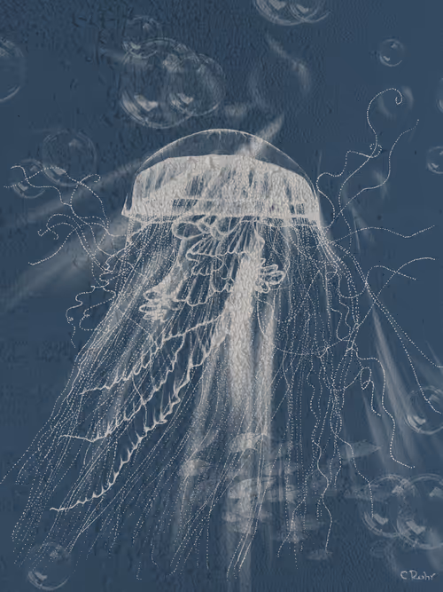 Item #113233535435930126246803406212525192330824104616936385021501681253989084037121 Media