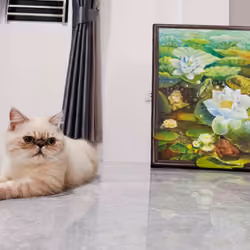 Cat A Love #7