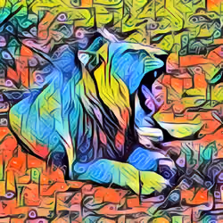 Lioness Water