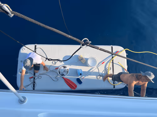 Bamby_eth Collection