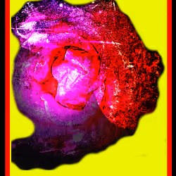 Heart Lights ON Reiki Session