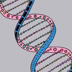 DNA #37