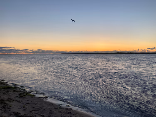 Item #112539480559386879026718304796177303960672733391150842661969334717067848318977 Media