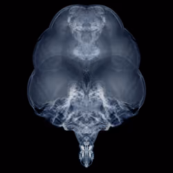 Alien Embryo - 448 of 2000