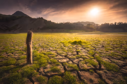 Item #94729080485503513708329965317332491879903775520225674536844109518196675969025 Media