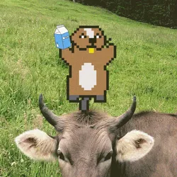 40701560831826123766766153565006701143315228291478980773029414449262496841729