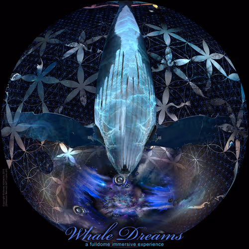 Item #62031355304717605018779556658742752580480266071018607637947581438224362373121 Media