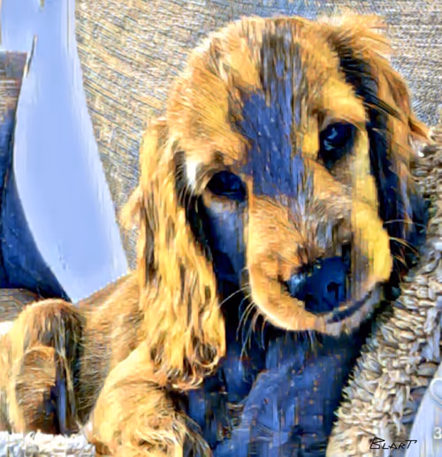 Item #100912189096696144949180120692345760590440403347893883972252148257063796998145 Media