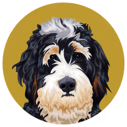 54766349128176429303044182404049584425310907481653304317570413886951867285505