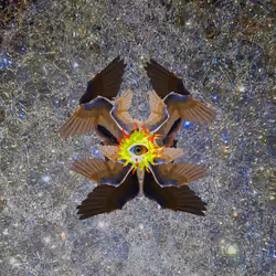 46270756241811991846954908847362512790842467969102230514679737557797386059777