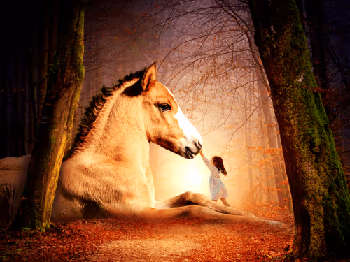 Liberty_Dreamer Collection