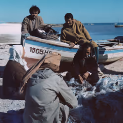 Djerba