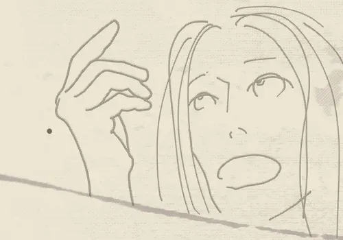 PR-IMAGE Collection - old V3