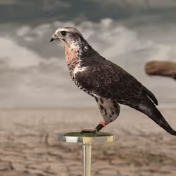 5362693153686757663037229957776630052012240176014263673100968343203131424769