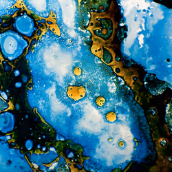 9251341193756129610411101804839683921415719585297066577807806975502402453505