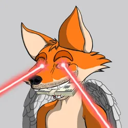Cunning Fox 8818