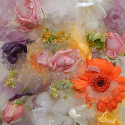 80829721372825377784010953381890255518558028243098186913878117612415455592449