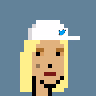 twitter punks #455