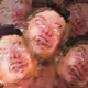 51259542838115332580789816796846311544186424168694642153491314776122469646337