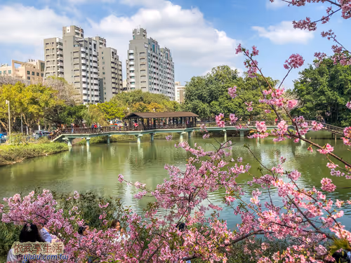 Item #100744422725674417057824683306763013505668843176654858816283483935131048083457 Media