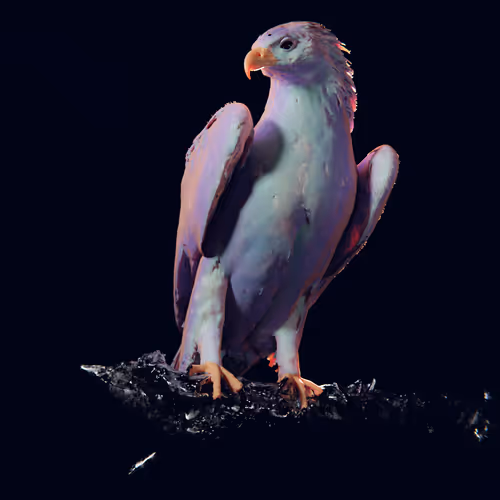 Item #2282122871762368384245042300186680958414993156834819233892893687304096317441 Media