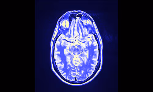 Item #64162533542198579898252916190583583845604629893829087458582976356021459484673 Media