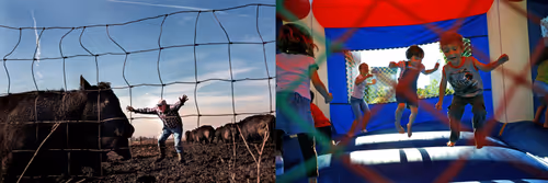 Item #95798395344160826478230491499252628572040143534185362822691349308219246772225 Media