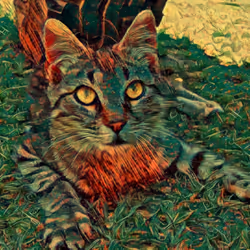 Cat Lord #18