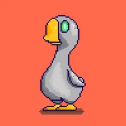 duck #04