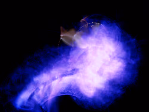 Item #45731211464929816441170859700976373292149702980452148839612469110636795658241 Media