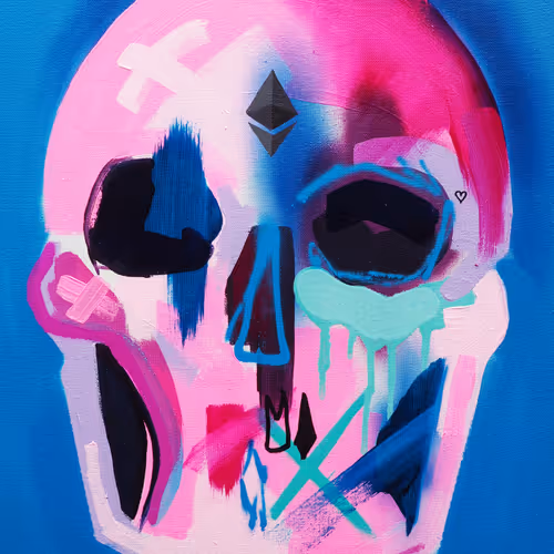 Memento Mori 100 Skulls By Tim Fowler