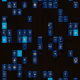 50037483554939511813979346484258635022026276209169972718707507319920452960257