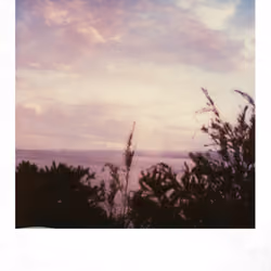 Polaroid land #9