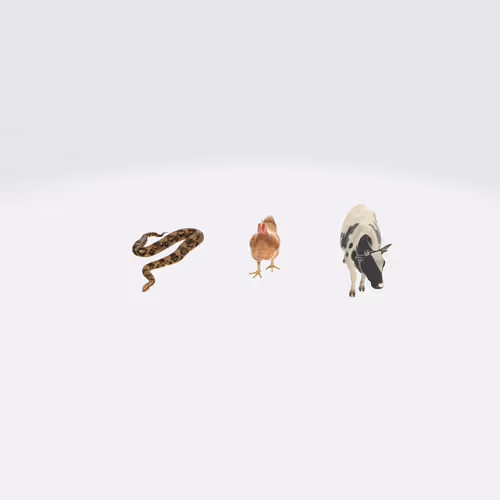 Item #75684477058948958895532384377069773609087076397756298439441439579852897265424 Media