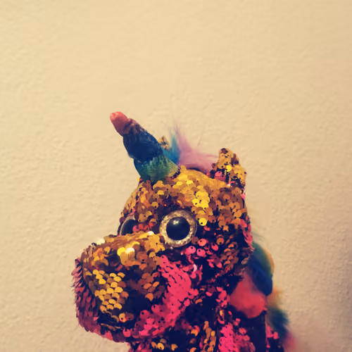  Rainbow Unicorn