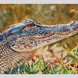 55704534837685659622621715309832868758345944585427688586690141400370692227073