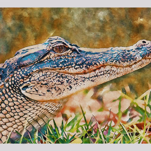 55704534837685659622621715309832868758345944585427688586690141400370692227073