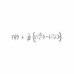 23392220428079498595821616783356579763328574506530279883149265522641021698049