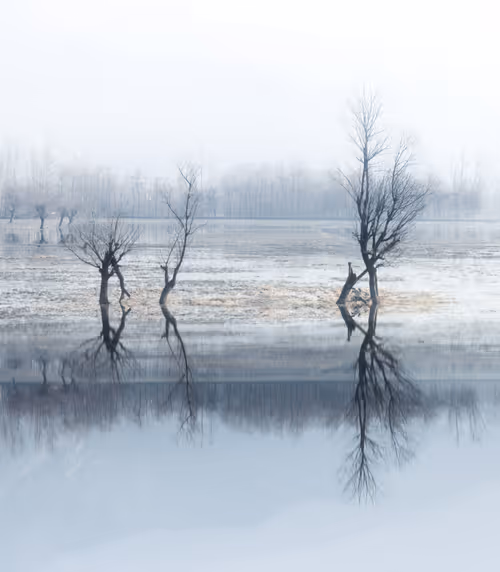 Item #100125324817140700473098673733568876555088890877521994710768706073802282369025 Media