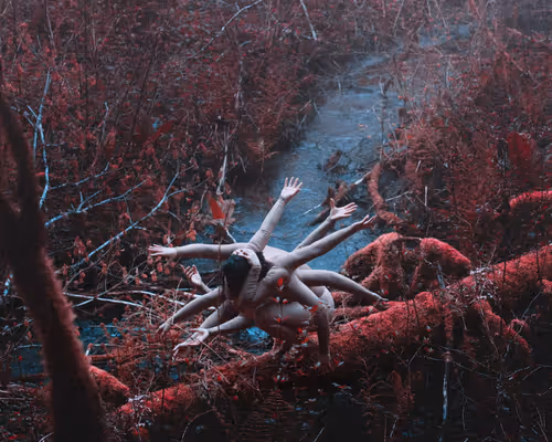 Item #27037863162219595274106965328796201644236451492369191694628585652915699449857 Media