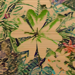 Klintmoor Flower Edition 25/50