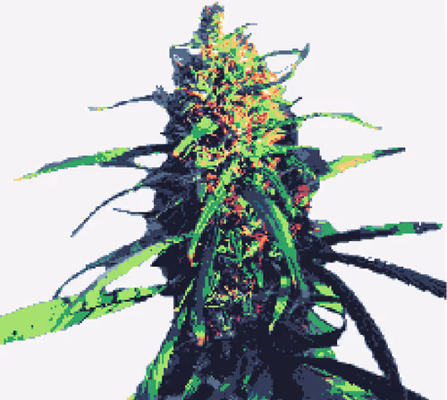 Item #107671942497092392417931509861789908352960341690102161637904481803610540212225 Media