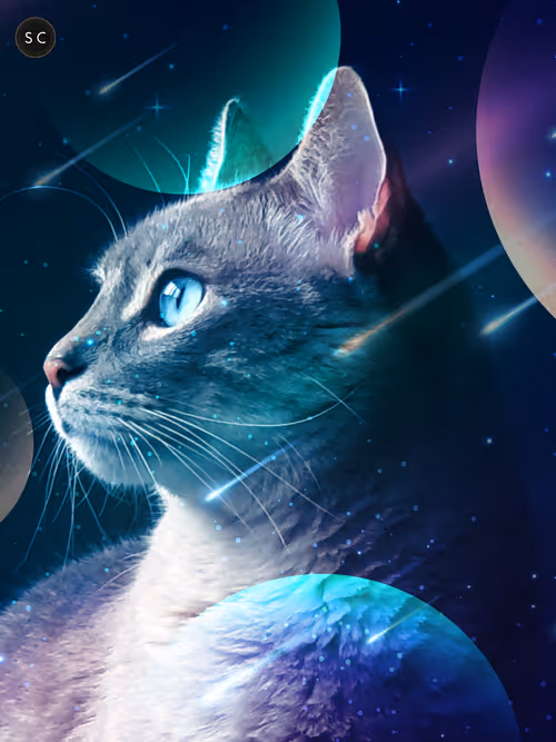 Item #56114814756646127397705002134489221206320113324181291230627375168923623227393 Media