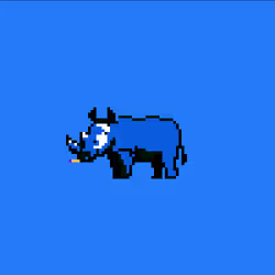 Crazy Rhinos #20