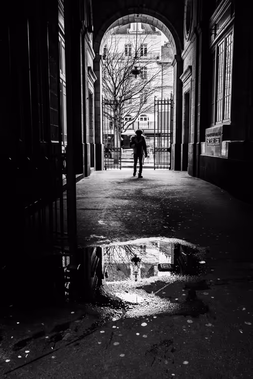 Item #65021923281382677709857675602610838181594945285556120582948573384187402256389 Media