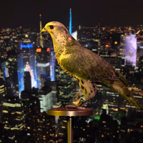 5362693153686757663037229957776630052012240176014263673100968357496782585857