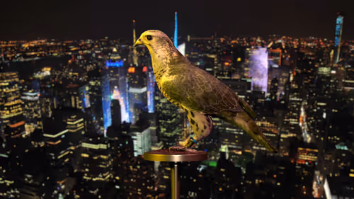 Item #5362693153686757663037229957776630052012240176014263673100968357496782585857 Media