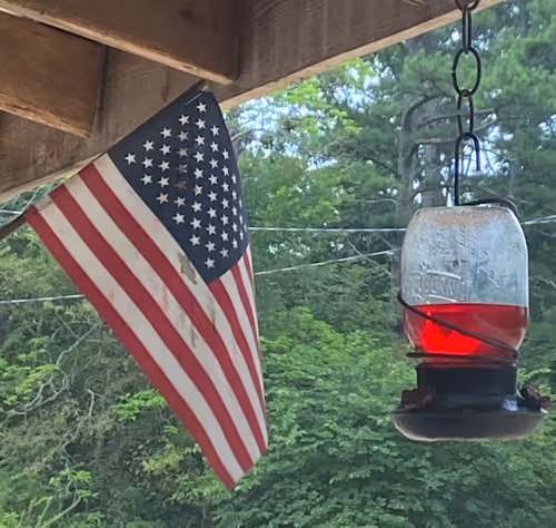 Item #42060316443796044655874448796589109731243459605113798624793464039374774599681 Media