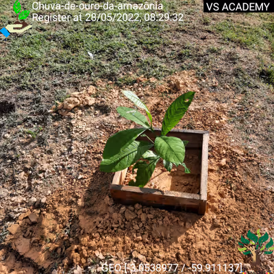 Item #8500196597889277390194123329501889087166328879864934763448348775337802334209 Media